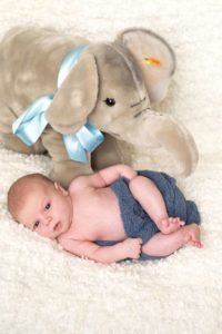 Baby_Elefant_Stofftier