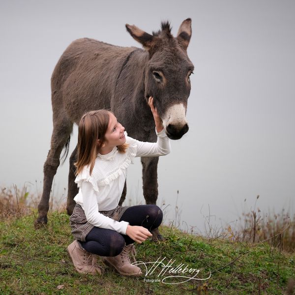 Kind und Esel